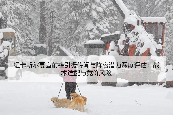 纽卡斯尔夏窗前锋引援传闻与阵容潜力深度评估：战术适配与竞价风险