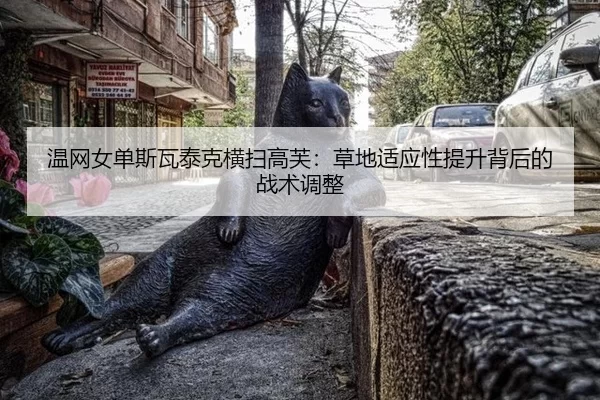 wen-wang-nv-dan-si-wa-tai-ke-heng-sao-gao-fu-cao-di-shi-ying-xing-ti-sheng-bei-hou-de-zhan-shu-tiao-zheng-2-264.jpg